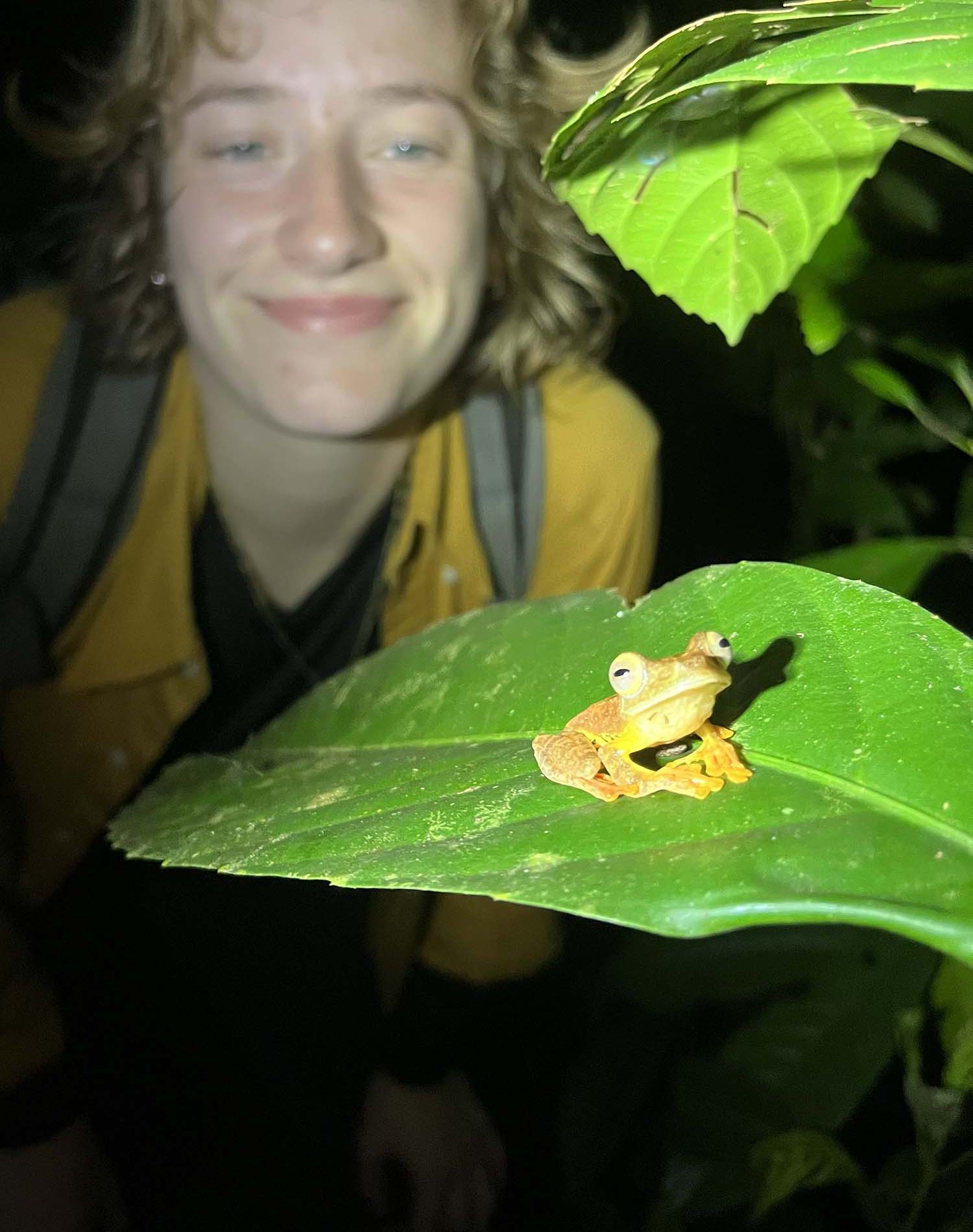 Hannah Shapland with a Harlequin Tree frog, during her Professional Training Year at DGFC in Kinabatangan, Sabah